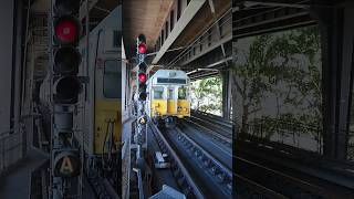 K87 and K90 departing Circular Quay [upl. by Nolahp]