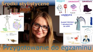 Środki stylistyczne  powtórka przed egzaminem [upl. by Neleh659]