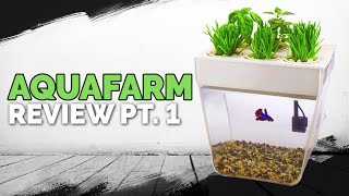 Aquafarm Review Pt 1 [upl. by Ihcas714]