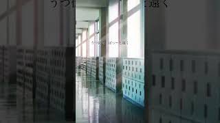 September REMIX歌詞動画 [upl. by Sharyl]