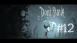 Dont Starve  Lets Play Fr Ep12 Ca ressemble a un camp [upl. by Agna]