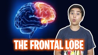 The Frontal Lobe  Human Brain Series [upl. by Gorlicki]