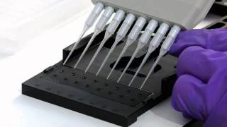 BIOTEK EPOCH SPECTROPHOTOMETER SYSTEM DEMO [upl. by Nelia76]