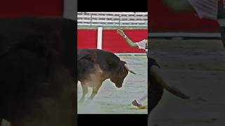 Bull 🐂 Riding  Bull Jumping Bull Gaming rodeo bullriding mechanicalbullriding bullrider bull [upl. by Barfuss]