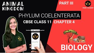 COELENTERATA CTENOPHORA amp PLATYHELMINTHES  Animal Kingdom  Class 11 Biology Chapter 4  Part 3 [upl. by Kone]