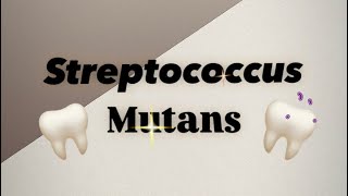 Streptococcus mutans 🦷 [upl. by Shumway541]