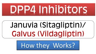 DPP4 Inhibitors  Januvia Sitagliptin Galvus Vidagliptin  Pharmacology amp Mechanism of Action [upl. by Raab]