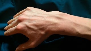 how to get veiny hands in 5 minutes advanced workout [upl. by Mairim]