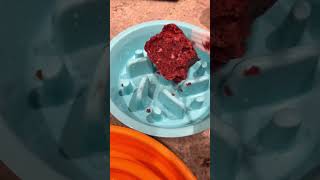 Dogs food are getting ready Part 1reel dogs feeding foodfordogs [upl. by Tu]