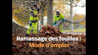 Ramassage des feuilles mortes  mode d’emploi [upl. by Terrag]