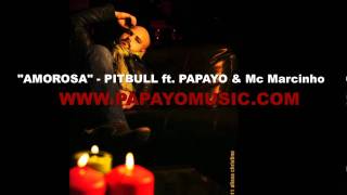 Amorosa PITBULL Ft PAPAYO amp Marc Marcinho [upl. by Luapnhoj]