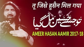 Ameer Hasan Aamir Nohay 201718  Tu Jise Hussain Mil Gya  तू जिसे हुसैन मिल गया  AKHTAR SIRSVI [upl. by Ferretti]