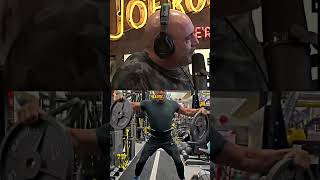 🚨Joe Rogan Goes Off on Sylvester Stallone🏋️‍♂️ [upl. by Kirbie]