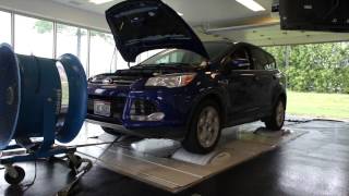 2013 Ford Escape Ecoboost  Tuned By Smokeys Dyno amp Performance [upl. by Esor380]