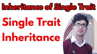 Inheritance of single trait class 12Inheritance of single trait in hindiMonohybrid cross in hindi [upl. by Lubbock223]