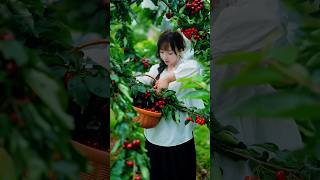 Harvesting some fresh and delicious fruits 😋🍒🥭🍎🍓shorts nature fruit [upl. by Sisto]