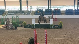 Emma Claire Johnson riding Baliheerin Baloubet in kentucky equitation class  2022 [upl. by Nalepka]