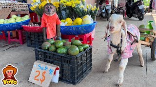 YoYo JR takes goats to harvest vegetables sell and help people around Full version [upl. by Attenod]