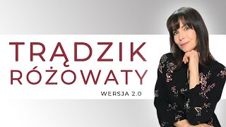 TRĄDZIK RÓŻOWATY  Postępowanie  Zabiegi  Urządzenia  Dieta  Kosmetyki [upl. by Elrem]