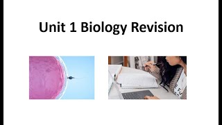 Unit1 Biology Revision [upl. by Eiramllij433]