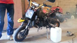 Malossi 80cc Am6 powered pitbike pit bike [upl. by Pul]