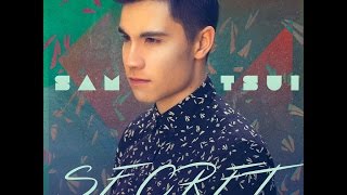 Meghan Trainor  No Lyrics Video Cover Sam Tsui [upl. by Berhley]