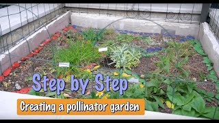 Creating a Pollinator Garden Step by Step Guide [upl. by Eelrahc39]