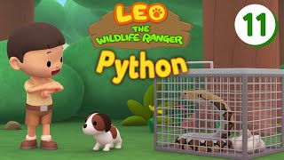 Reticulated Python  Leo The Wildlife Ranger Episode 11 [upl. by Renata]