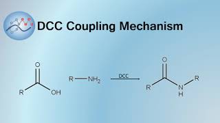 DCC Coupling Mechanism  Organic Chemistry [upl. by Ayidah]