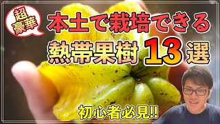 寒いところでも栽培できる初心者おすすめの熱帯果樹「13」選！！！ [upl. by Lasser]