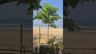 Cottage living in Goa  Agonda Beach  Slow Living  Natures bounty  seaviews goatravelvlog [upl. by Skillern]