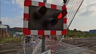 5 HangmansMisuseconsecutive closures Mount pleasant level crossing Hampshire [upl. by Ainar273]