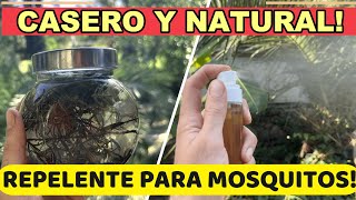 Adiós MOSQUITOS 🦟 Repelente Casero Natural Con Plantas [upl. by Ellinej]