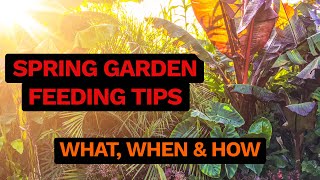 Spring Garden Feeding Tips  Use These Slow Release Fertilisers for Lush Summer Growth [upl. by Moises576]