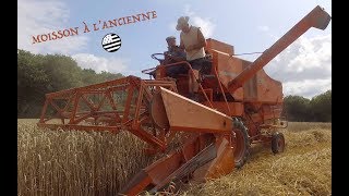 Moisson à lancienne 2019 [upl. by Adnovay]