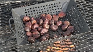 From the Pit How to Roast Chestnuts on an Open Fire [upl. by Deborah]