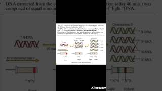 Semiconservative DNA Replication Meselson amp Stahls experiment Biology  NCERT NEETclass 12 [upl. by Jessen840]