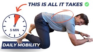 5Min Midback Thoracic DAILY MOBILITY Routine [upl. by Eisseb478]