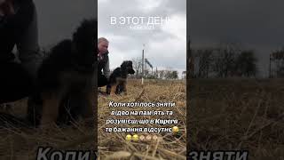 Щоб зняти повне відео завжди було купа експромтів 😆😆😆 [upl. by Enyamrahc]