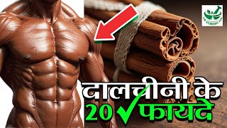 दालचीनी के 20 फायदे  Dalchini ke 20 fayde  Cinnamon Benefits  Benefits of Dalchini  Health Tips [upl. by Ettezzil11]