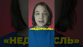 Фонвизин «Недоросль» 📚егэполитературе егэ литература чтопочитать краткийсюжет [upl. by Ahseinek735]