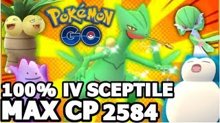 100 IV MAX CP 2584 SCEPTILE IN POKEMON GO  THE POWER OF COMPLETELY MAXED SCEPTILE [upl. by Truman]