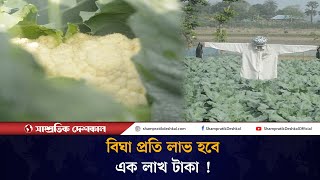 আগাম সবজি চাষে সুদিন ফিরেছে আত্রাইয়ের কৃষকদের  Naogaon News  Winter vegetable Shampratik Deshkal [upl. by Nywled]