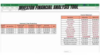 Dynamic Financial Projections Model  Comprehensive Investor Analysis Tool [upl. by Thanh]