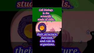 Cell biology  cell division cell membrane nucleus lysosome histology cell membrane celltheory [upl. by Donegan164]