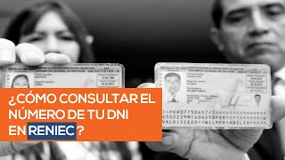 Consulta DNI Reniec Aprende a consultar un número de DNI por Reniec en línea [upl. by Odrahcir411]