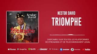 Nestor David  Triomphe Son Officiel [upl. by Barvick418]