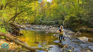 Fly Fishing for a Trout you have to see to believe Fall Trout Fishing [upl. by Llerat]