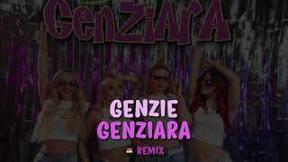 GENZIE  GENZIARA 🔥🔥 TYPEK OKIENKO REMIX [upl. by Drofyar]