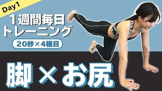 【毎日4分】下半身痩せの月曜！脚とお尻が綺麗に痩せる筋トレ【ライザップ1週間追い込みトレーニング】 [upl. by Atarman]